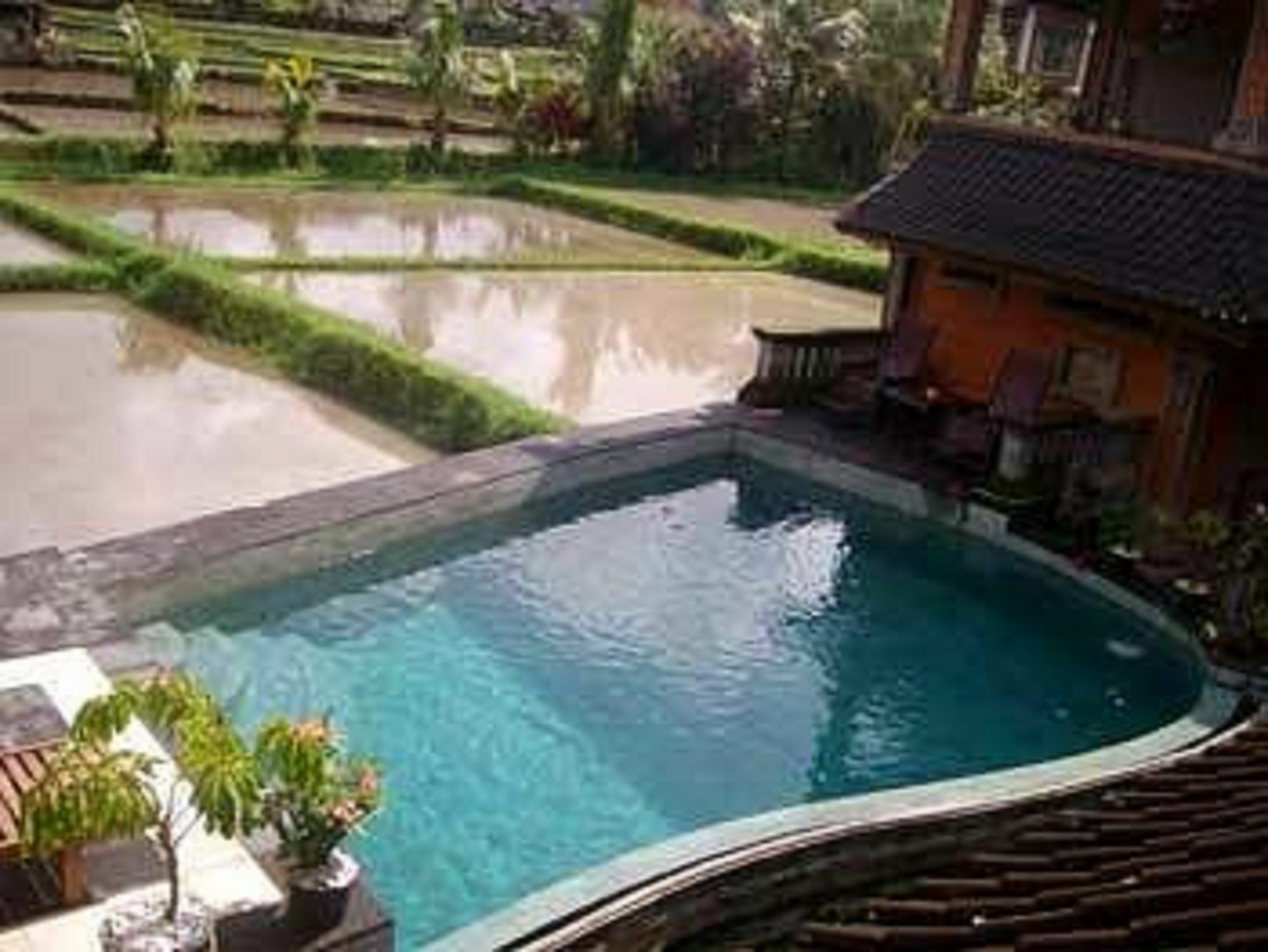 Ala'S Green Lagoon Ubud Esterno foto