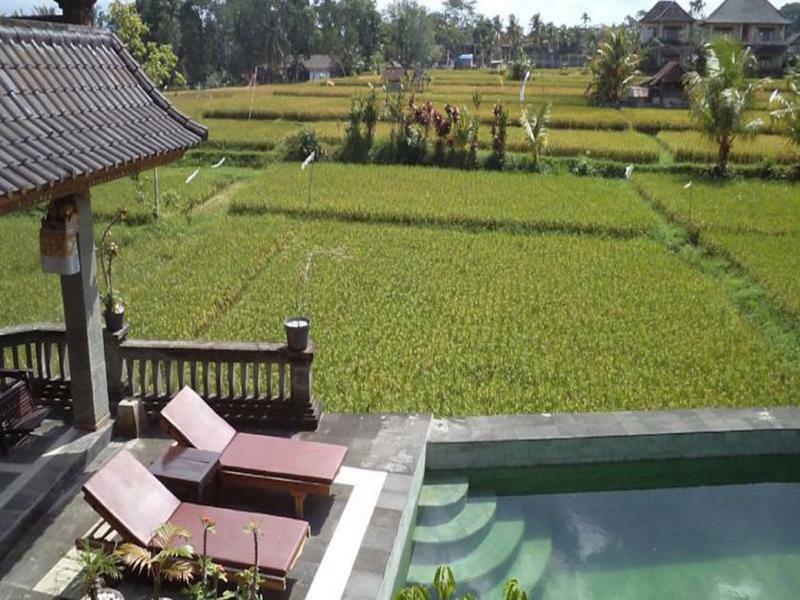 Ala'S Green Lagoon Ubud Esterno foto