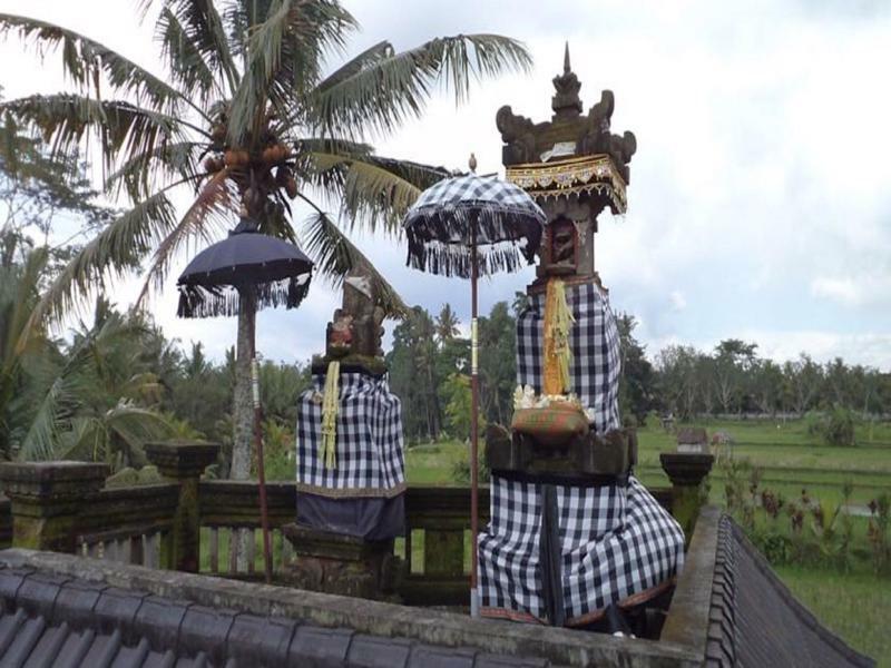 Ala'S Green Lagoon Ubud Esterno foto