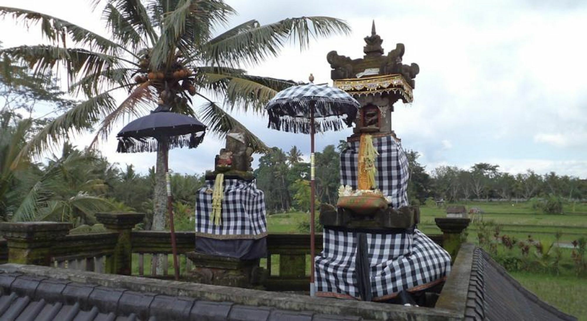 Ala'S Green Lagoon Ubud Esterno foto